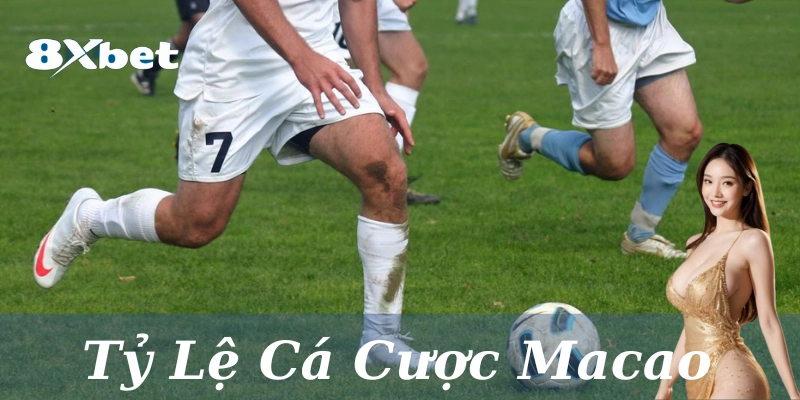 4 bí kíp vàng từ dân chuyên