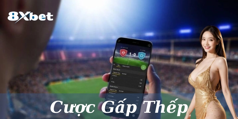 Khái niệm về Cược Gấp Thếp