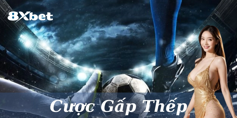 Những lời khuyên từ chuyên gia